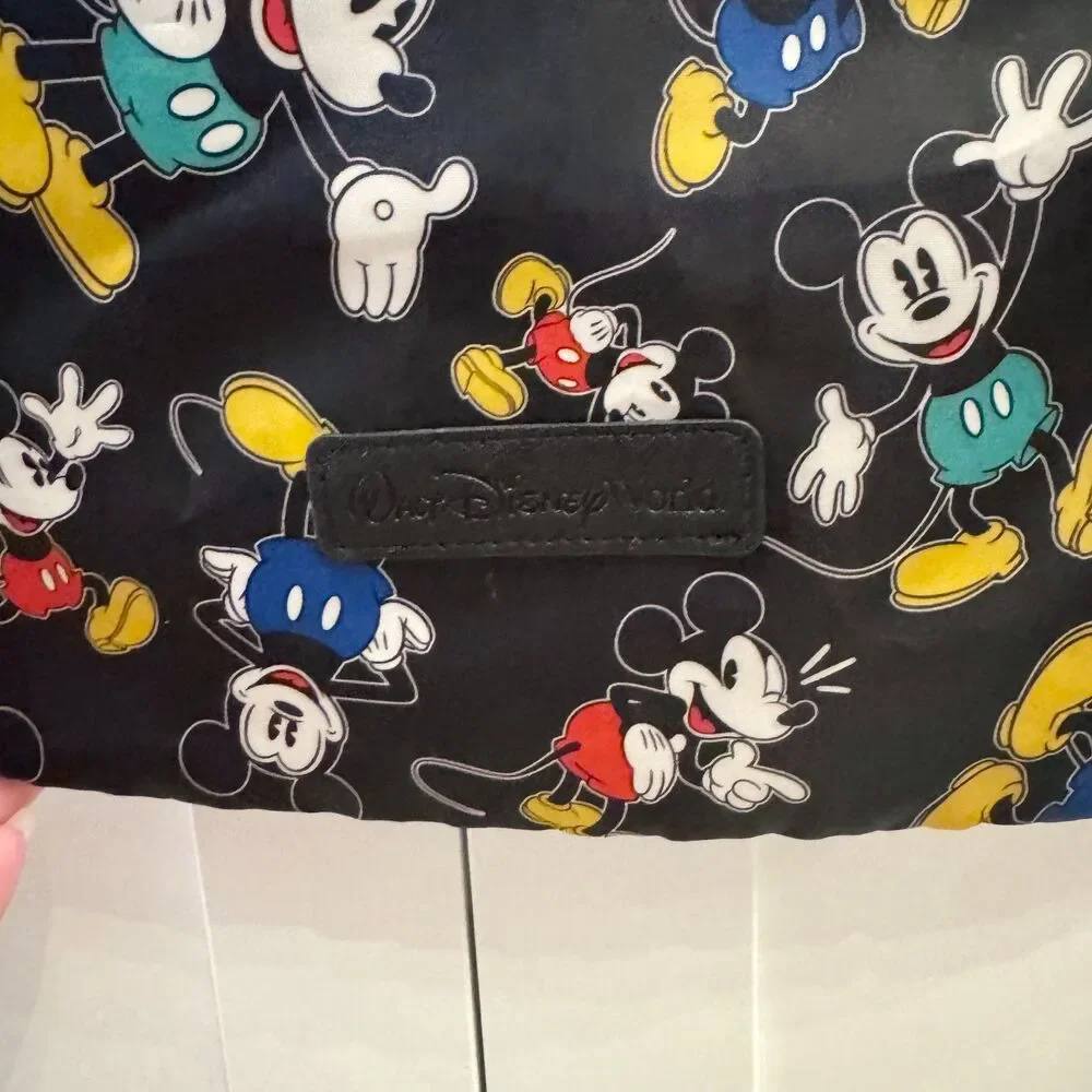 Disney authentic parks